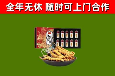 瑞安市烟酒回收冬虫夏草礼盒.jpg